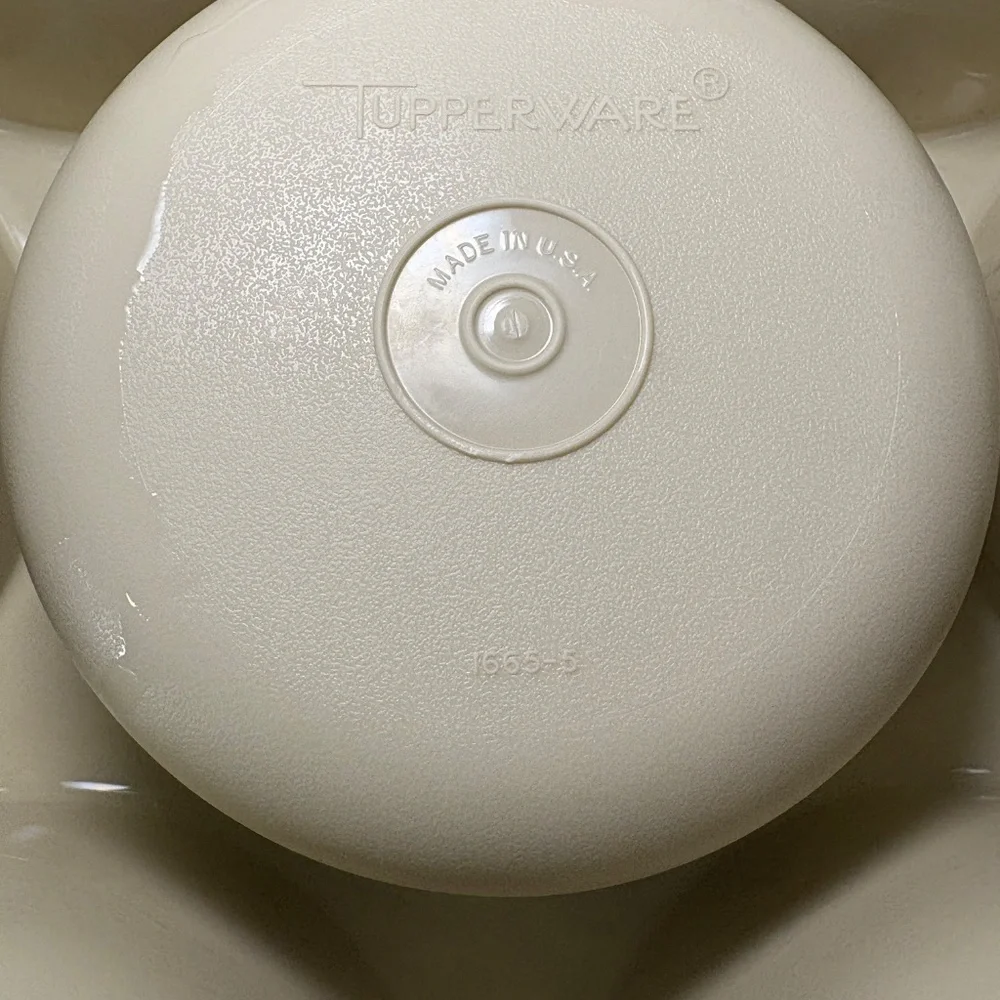 Vtg Tupperware Divided Veggie/Fruit/Dip Snack Party Tray 1665-5 With Lid 1666-4